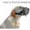 Adjustable Dog Muzzle With Soft Padding for Anti-Biting, Barking, and Chewing Prevention 5