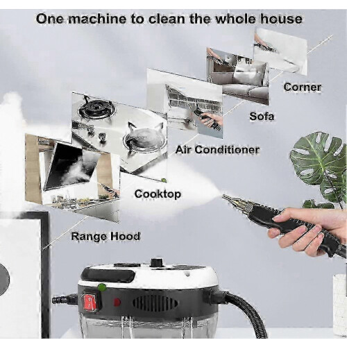 Handdampfreiniger für den Heimgebrauch, 2500 W 2