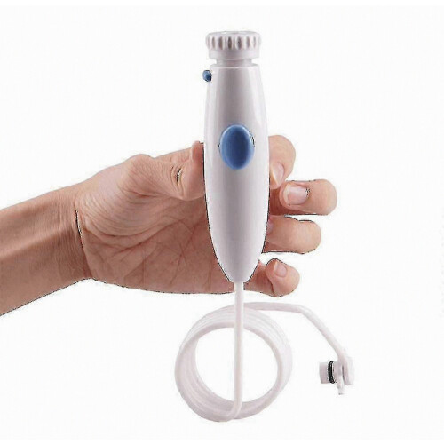 Αξεσουάρ Στοματικής Υγιεινής για Waterpik Wp-100, Wp-900 Ανταλλακτικό Σετ Λαβής/Λά 1