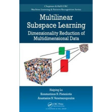 Multilinear Subspace Learning Dimensionality Reduction of Multidimensi