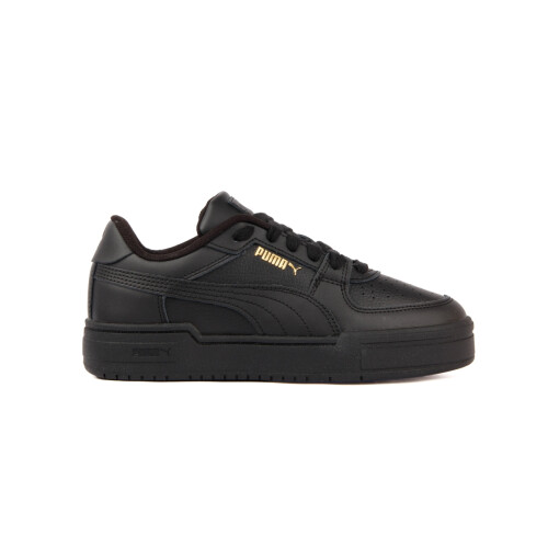 Puma (122) California