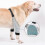 (S) Dog Double Front Leg Surgery Recovery Sleeve Brace Elbow Protector Adjustable Anti-Lick 1