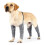 (2XL) Anti-Lick Dog Pants for All Breeds 1
