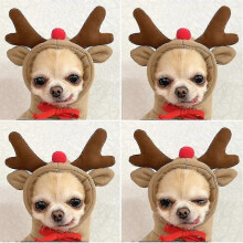 (Brown Reindeer, XXL) Warm Dog Hoodie Sweatshirt for Small Medium Large Dogs Cats Chihuahua -Aoba