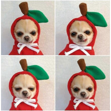 (Red Apple, L) Warmer Hunde-Hoodie für kleine, mittlere und große Hunde, Katzen, Chihuahuas und Aoba