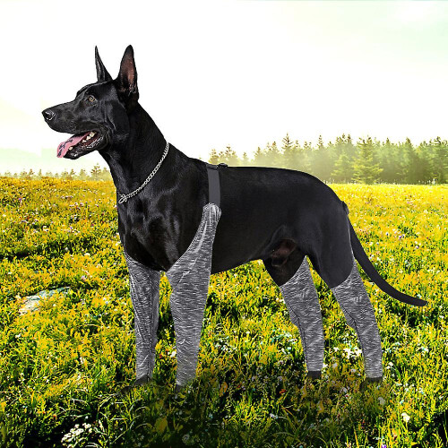 (2XL) Anti-Lick Dog Pants for All Breeds 1