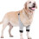 (S) Dog Double Front Leg Surgery Recovery Sleeve Brace Elbow Protector Adjustable Anti-Lick 2