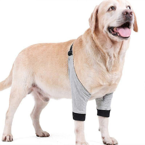 (S) Dog Double Front Leg Surgery Recovery Sleeve Brace Elbow Protector Adjustable Anti-Lick 1