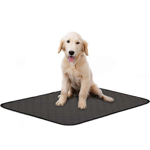 (Gray, L) Thickened Absorbent Deodorizing Soft Washable Dog Diaper Pads 2