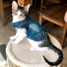 (M, denim cat vest) Cat Denim Vest Puppy Jacket Casual Jeans Coat for Small Dogs Chihuahua French Bulldog