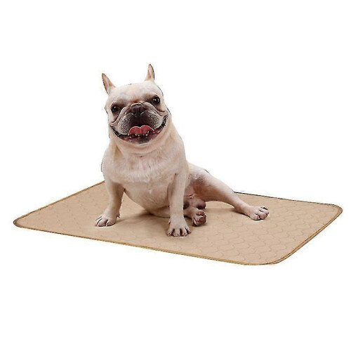 (Beige, S) Thickened Absorbent Deodorizing Soft Washable Dog Diaper Pads 1