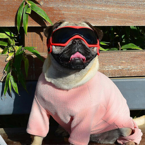 (Red) Gafas de sol UV para perros pequeños/medianos, fáciles de usar. 1
