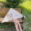 (Pink) Exquisite Colorful Triangle Cartoon Kite Durable Easy Fly Beginner Kids Adults 5