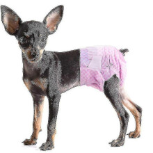 (l) Wiederverwendbare Hundewindelhose mit physiologischer Einlage