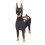 (Multicolor, Durbin seeder) Fioriera a forma di cane, facile da assemblare, per uso esterno e interno. 5