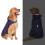 (Blue, 6XL) Impermeabile per cani di grossa taglia con cappuccio e lacci elastici (FPK11) 2