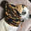 (Blue, M) Dog Fleece Winter Warm Hat with Ear Protection Solid Color Drawstring 4
