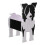 (Multicolor, Border Collie) Fioriera a forma di cane, facile da assemblare, per uso esterno e interno. 2