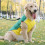 (Rice Yellow, L) Warm Pullover Dog Jacket for Small Medium Large Dogs 5
