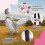(M) 3 Pack Reusable Pet Chicken & Duck Diapers 2