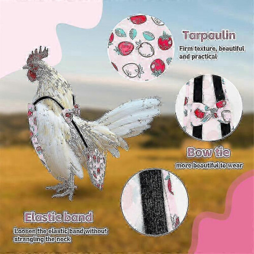 (M) 3 Pack Reusable Pet Chicken & Duck Diapers 1