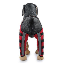 (red2, M) Double Rear Leg Dog Knee Brace for ACL Kneecap Dislocation Arthritis Warm Support