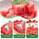 Watermelon and Mango Slicer Tool Stainless Steel 2 pcs 7