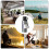 Stainless Steel Vacuum Tea Infuser Bottle with Temperature 7