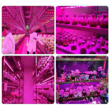 8X LED Grow Light Full Spectrum 5V USB Grow Light Strip 2835 LED Phyto Lamps for Plants Growing 100cm