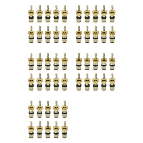 50pc Air Conditioning Charge Cold Medium Interface Valve Core for  Elysee  Beverly