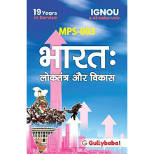 MPS03 by Panel Gullybaba.com Paperback Book