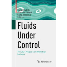 Fluids Under Control The 2021 PragueSum Workshop Lectures Paperback Bo