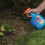 Westland Resolva Weedkiller 24H RTU 800ml + 25% Extra Free Ready to Use 2