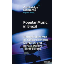 Popular Music in Brazil by Martha Tupinamb de Ulha Hardcover Book