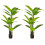 Homcom Plataneras Artificiale Verde 17 x 17 x 150 cm 1