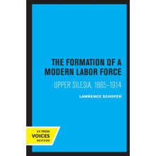 Formation of a Modern Labor Force by Lawrence Schofer Paperback Book