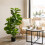 Homcom Planta Ficus Artificial Verde 15 x 15 x 110 cm 4