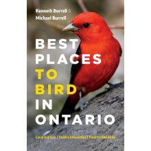 Best Places to Bird in Ontario by Kenneth Burrell Paperback Book