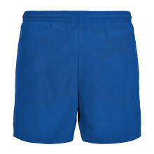(3XL, Cobalt Blue) New Morning Studios Mens Basic Swim Shorts