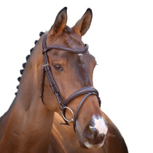 (X Full, Havana) Velociti Lusso Raised Flash Leather Horse Flash Bridle