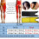 Slimming Belt for Cellulite Reduction and Thigh Toning 7
