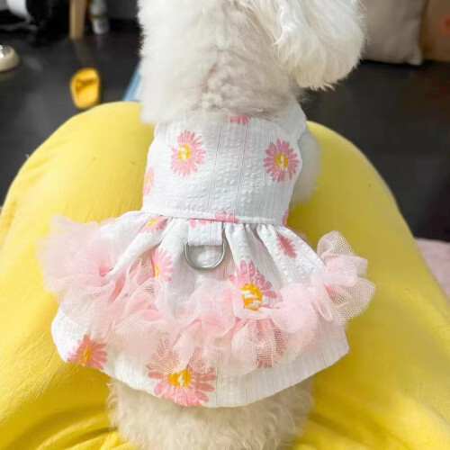 Vêtements pour chats et petits chiens - Printemps/Automne