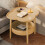 2-Tier Folding Round Side Table with 2 Removable Trays 4