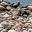 Copper Dowsing Rods Set 2 Pieces 8