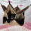 Pet Hammock for Hamsters and Rats 3-Layer Hanging Sleeping 4