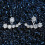 925 Sterling Silver Stud Earrings with Cubic Zirconia for 2