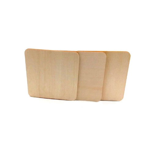 Wooden Blank Plaque Square Tags DIY Craft 100 pcs 2