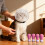 Cat Muzzle Breathable Transparent Head Cover for Grooming 4