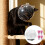 Cat Muzzle Breathable Transparent Head Cover for Grooming 5