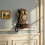 Retro Wall Mount Landline Phone with Storage Box Antique 7